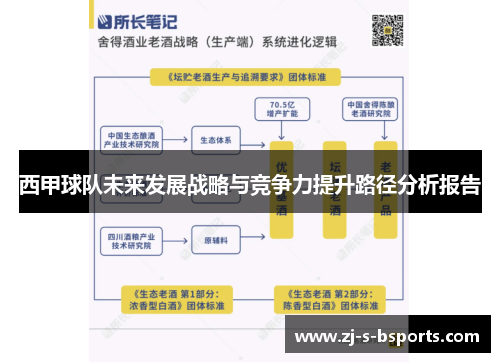 西甲球队未来发展战略与竞争力提升路径分析报告
